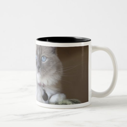 Vrouw Ragdoll Cat Tweekleurige Koffiemok (Rechts)
