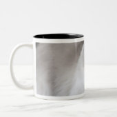 Vrouw Ragdoll Cat Tweekleurige Koffiemok (Links)