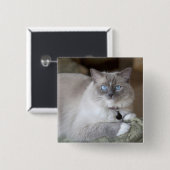 Vrouw Ragdoll Cat Vierkante Button 5,1 Cm (Voorkant /achterkant)