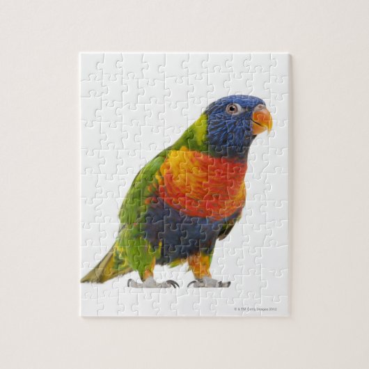 Vrouw Rainbow Loriket - Trichoglossus Legpuzzel (Verticaal)