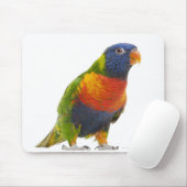 Vrouw Rainbow Loriket - Trichoglossus Muismat (Met muis)