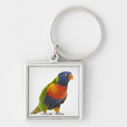 Vrouw Rainbow Loriket - Trichoglossus Sleutelhanger (Voorkant)