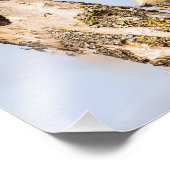 Vrouw Red-bellied Woodpecker Fotografie Print Foto Afdruk (Hoek)