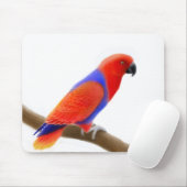 Vrouw Red Eclectus Parrot Mousepad Muismat (Met muis)