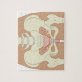 Vrouw Reproductiesysteem 3 Legpuzzel (Verticaal)