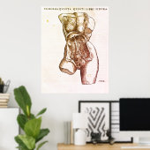 Vrouw Reproductive System Medical Illustratie Poster (Thuiskantoor)