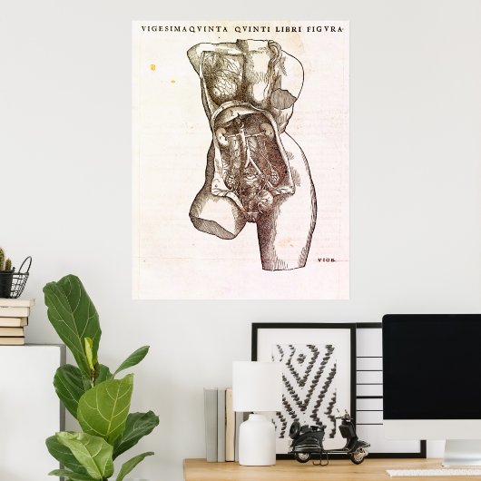 Vrouw Reproductive System Medical Illustratie Poster (Thuiskantoor)