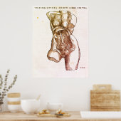 Vrouw Reproductive System Medical Illustratie Poster (Keuken)