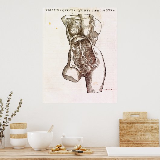Vrouw Reproductive System Medical Illustratie Poster (Keuken)