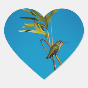 Vrouw robijn-keelkolibrie aan de boom hart sticker