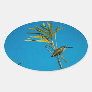 Vrouw robijn-keelkolibrie aan de boom ovale sticker