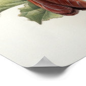 Vrouw Rode Kardinaal Vogelkunst Print Poster (Hoek)