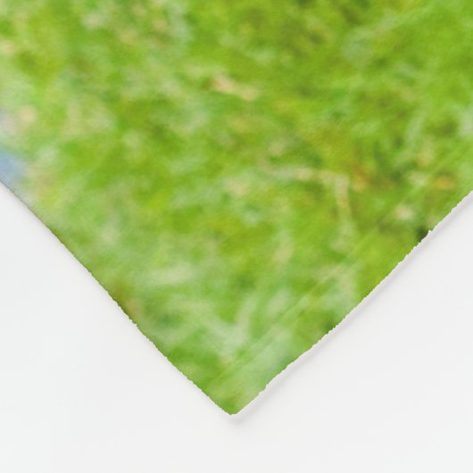 Vrouw roodachtig bruin tuften duiken in gras fleece deken (Hoek)