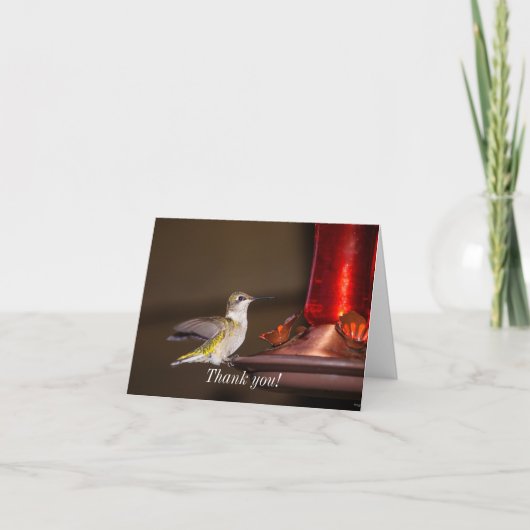 Vrouw Roodkeelvogel Hartelijk dank Kaart (Voorkant)