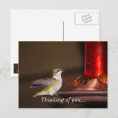 Vrouw roofvogels denken aan jou briefkaart (Voorkant / Achterkant)