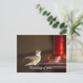 Vrouw roofvogels denken aan jou briefkaart (Staand voorkant)