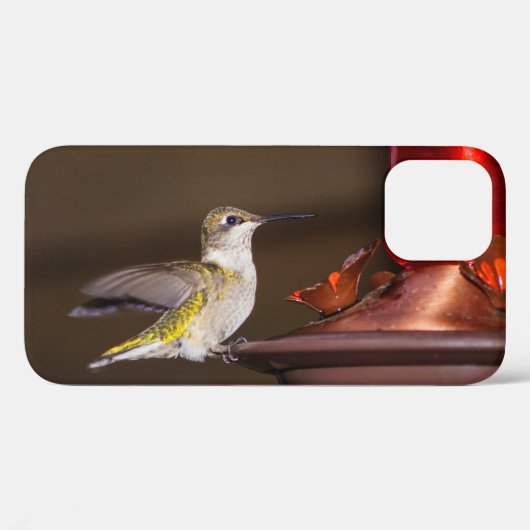 Vrouw roofvogels iPhone Case (Achterkant (horizontaal))