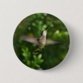 Vrouw Ruby Throat Hummingbird Button (Voorkant)