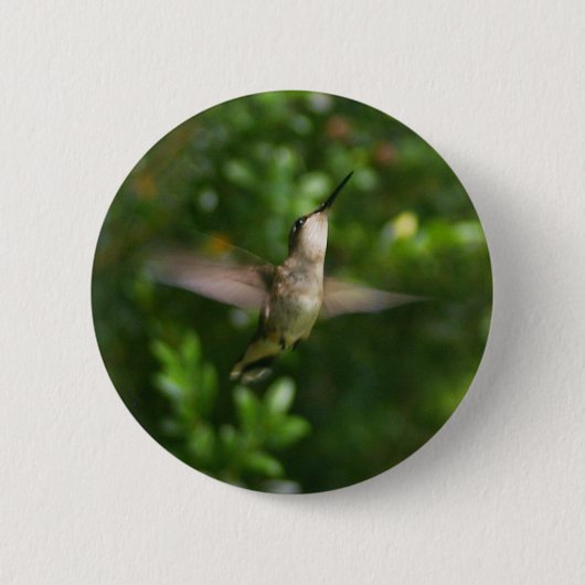 Vrouw Ruby Throat Hummingbird Button (Voorkant)