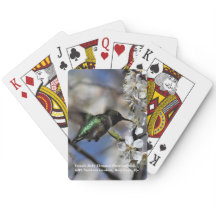 Vrouw Ruby Throated Hummingbird