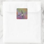 Vrouw Ruby Throated Hummingbird tijdens de vlucht Vierkante Sticker (Tas)