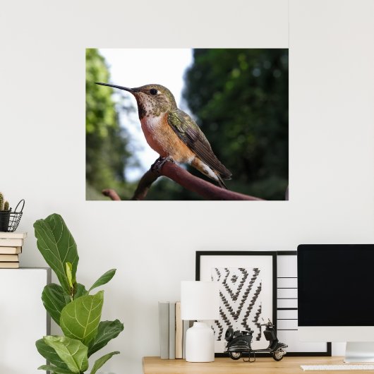 Vrouw Rufous Hummingbird - Fine Art Prints (Thuiskantoor)
