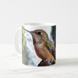 Vrouw Rufous Hummingbird - Mokken