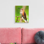 Vrouw Rufous Hummingbird on the Plum Tree Canvas Afdruk (Insitu (Woonkamer))