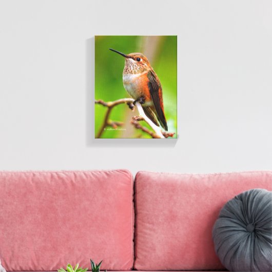 Vrouw Rufous Hummingbird on the Plum Tree Canvas Afdruk (Insitu (Woonkamer))