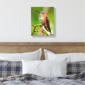 Vrouw Rufous Hummingbird on the Plum Tree Canvas Afdruk (Insitu (Slaapkamer))