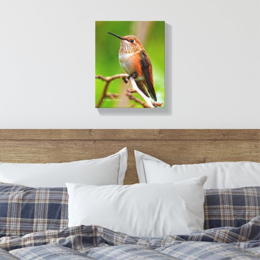Vrouw Rufous Hummingbird on the Plum Tree Canvas Afdruk (Insitu (Slaapkamer))