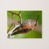 Vrouw Rufous Hummingbird on the Plum Tree Legpuzzel (Horizontaal)