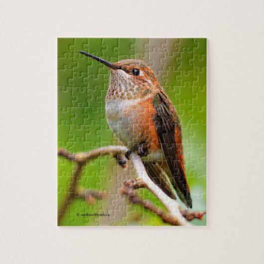 Vrouw Rufous Hummingbird on the Plum Tree Legpuzzel (Verticaal)