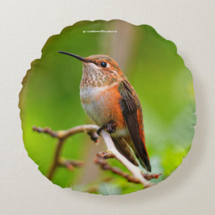 Vrouw Rufous Hummingbird on the Plum Tree Rond Kussen