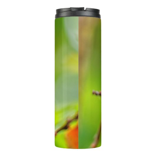 Vrouw Rufous Hummingbird on the Plum Tree Thermosbeker (Achterkant)