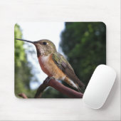 Vrouw Rufous kolibrie - Mousepad Muismat (Met muis)
