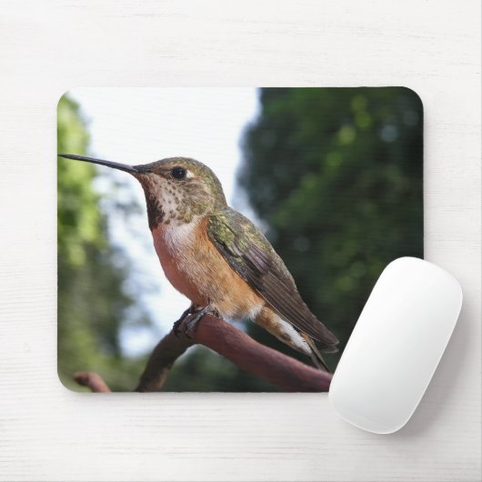 Vrouw Rufous kolibrie - Mousepad Muismat (Met muis)