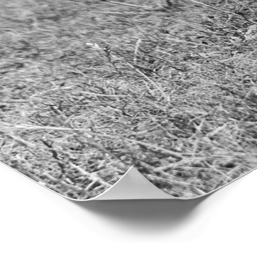 Vrouw Sharpschutter, jaren '20 Poster (Hoek)