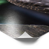 Vrouw Sparrowhawk Foto Afdruk (Hoek)