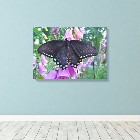 Vrouw Spicebush Swallowtail Butterfly Canvas Afdruk (Insitu (Houten vloer))