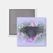 Vrouw Spicebush Swallowtail Butterfly Magneet (Voorkant / Achterkant)