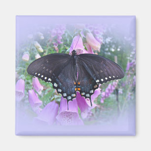 Vrouw Spicebush Swallowtail Butterfly Magneet