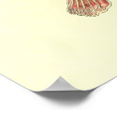 Vrouw Spier- en skeletspieren Anatomie Poster (Hoek)