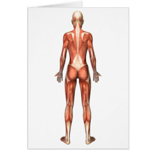 Vrouw spierstelsel- en bindweefselaandoeningen