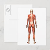 Vrouw spierstelsel- en bindweefselaandoeningen briefkaart (Voorkant / Achterkant)