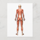 Vrouw spierstelsel- en bindweefselaandoeningen briefkaart (Voorkant)