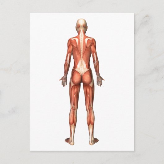 Vrouw spierstelsel- en bindweefselaandoeningen briefkaart (Voorkant)