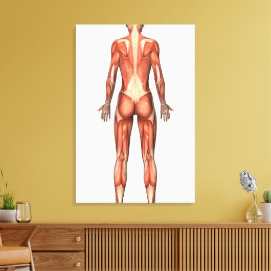 Vrouw spierstelsel- en bindweefselaandoeningen canvas afdruk (Insitu (Woonkamer))