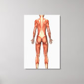 Vrouw spierstelsel- en bindweefselaandoeningen canvas afdruk (Voorkant)