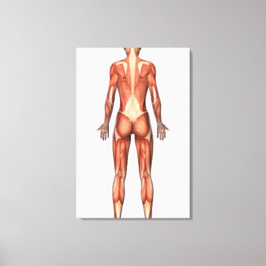 Vrouw spierstelsel- en bindweefselaandoeningen canvas afdruk (Voorkant)